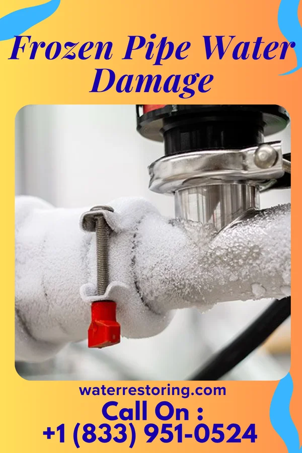Frozen Pipe Water Damage in Sully Square, VA
