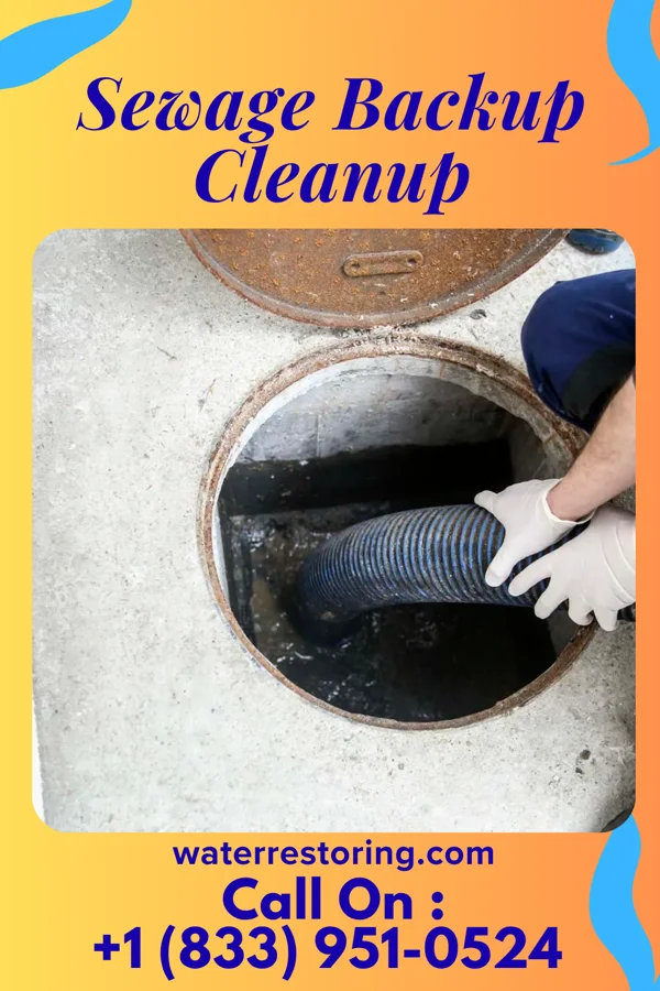 Sewage Backup Cleanup in Sully Square, VA