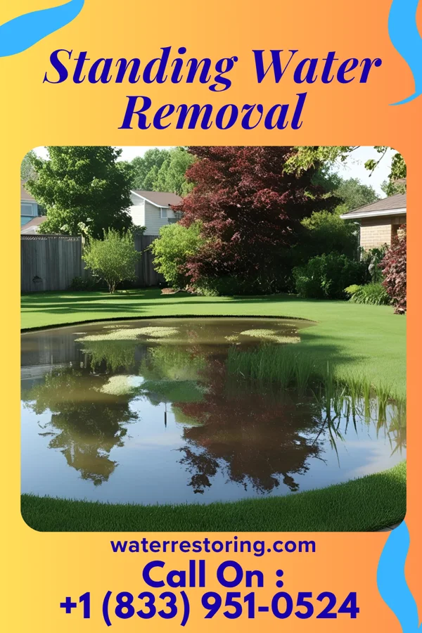 Standing Water Removal in Sully Square, VA